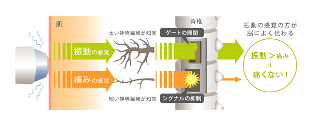 痛みの生理学 ゲート コントロール説を中心に 看護学雑誌 48巻10号 医書 Jp